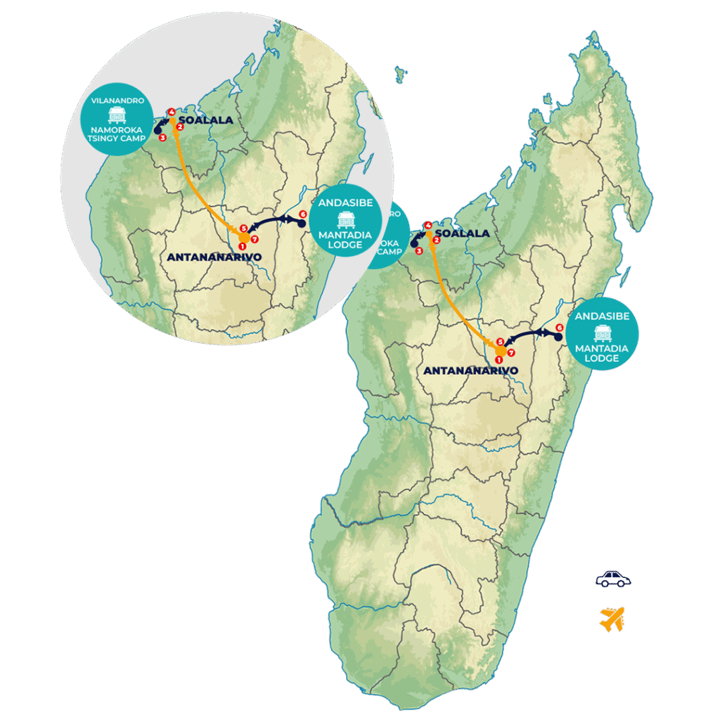 Tsingy Forest exploration